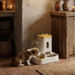 CatStation – Image 2