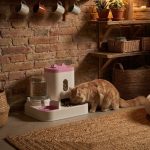 CatStation – Image 9