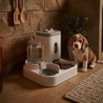 CatStation – Image 6