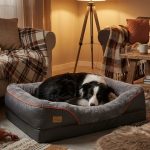 PupCloud – Image 3