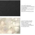 WoofDream – Image 4